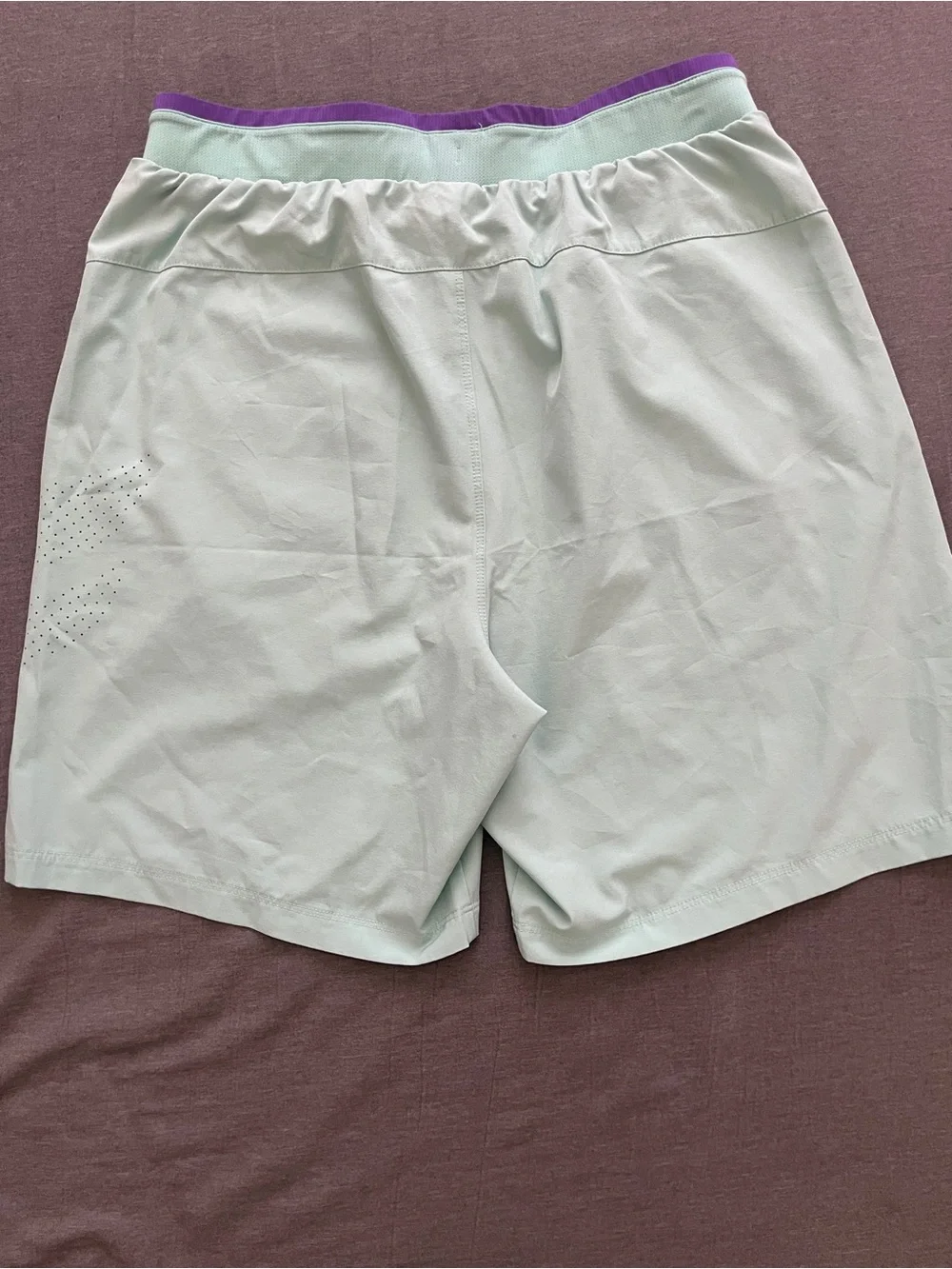 Fabletics Men's Mint Athletic Shorts with Purple Waistband